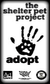 Support the Shelter Pet Project