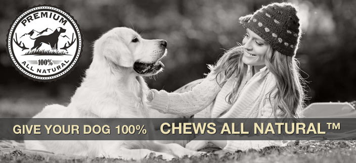 Give your dog 100 percent, and chews all natural! We are dedicated to enhancing the bonds between dogs and dog lovers, and we only sell the best natural pet supplies and antlers for dogs.