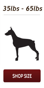Shop antlers for dogs chews for medium dogs 35 pounds to 65 pounds