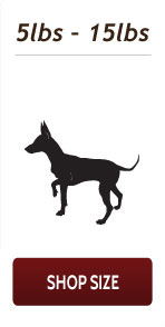 Shop antlers for dogs chews for puppies and small dogs 5 pounds to 15 pounds