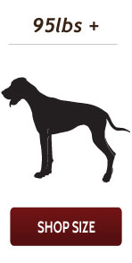 Shop antlers for dogs chews for giant dogs 95 pounds or more