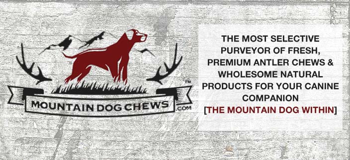 Premium elk antler chews are our specialty. We think our antlers for dogs are equivalent to the dog bone reinvented for the modern dog.